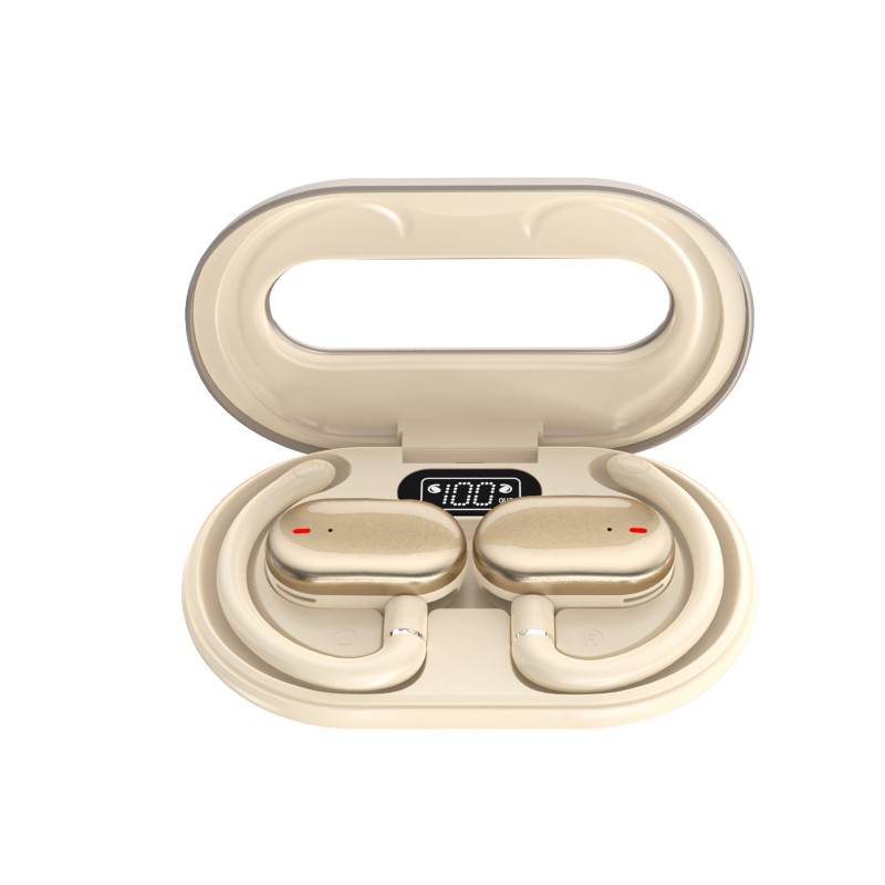 OEM Sport Adjustable Ear-Hook Wireless Earbuds with Metallic Finish (4)